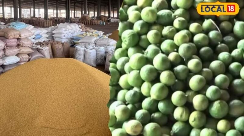 રાજકોટ યાર્ડમાં લીંબુના ભાવે મચાવી ધૂમ! પ્રતિ મણનો ભાવ 3600 ને પાર, જાણો ઘઉં-કપાસના લેટેસ્ટ બજાર ભાવ