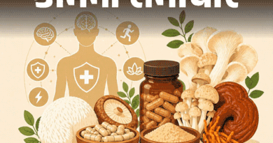 હેલ્થ ઇન્ડસ્ટ્રીનો નવો ટ્રેન્ડ- મશરૂમ સપ્લિમેન્ટ:મગજ મશીનની જેમ દોડવા લાગશે, એનર્જી માટે પણ ગેમ-ચેન્જર; નિષ્ણાતો પાસેથી જાણો ફાયદા-નુકસાન