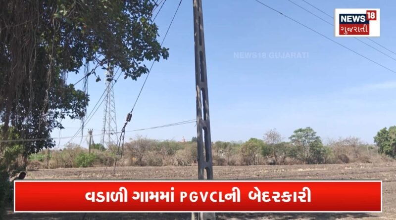 રાજકોટના વડાળી ગામમાં PGVCLની ઘોર બેદરકારી!