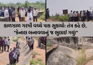 તંત્રનો અજીબોગરીબ જવાબ : ‘300 મીટર કેનાલ બનાવવાનું તો અમે ભૂલી ગયા’! 15 વર્ષથી પાણીની રાહ જોતા ખેડૂતો હવે આરપારના જંગના મૂડમાં!