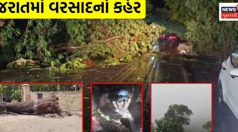 ક્યાંક વૃક્ષ પડ્યા, તો ક્યાંક મકાન ધરાશાઈ! ગુજરાતમાં ચોમાસાની શરૂઆત પહેલા જ વરસાદે વિનાશ વેર્યો