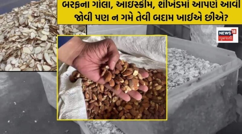 બરફના ગોલા, આઇસ્ક્રીમ, શીખંડ, મીઠાઈમાં વપરાય છે સડેલી અને જીવાતવાળી બદામ! રાજકોટમાંથી પકડાઈ બે હજાર કિલો
