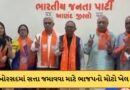Breaking News : આણંદના બોરસદમાં ભાજપનો મોટો ખેલ ! AIMIMના કોર્પોરેટરને પાર્ટીમાં સામેલ કરી મેળવી બહુમતી, જુઓ Video