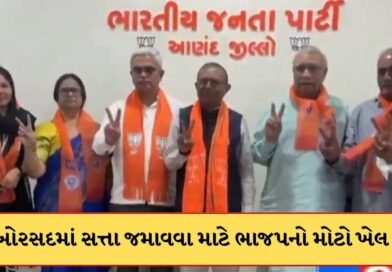 Breaking News : આણંદના બોરસદમાં ભાજપનો મોટો ખેલ ! AIMIMના કોર્પોરેટરને પાર્ટીમાં સામેલ કરી મેળવી બહુમતી, જુઓ Video