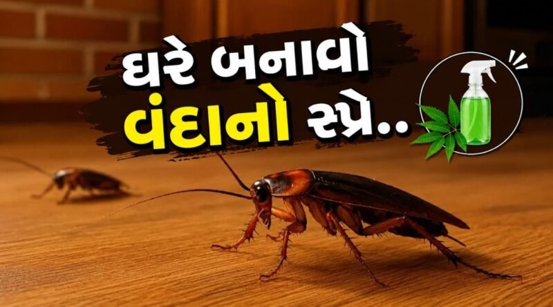 Get Rid Of Cockroach : એક પણ રૂપિયો ખર્ચ કર્યા વિના ઘરમાંથી છૂમંતર થશે વંદા, બનાવો આ સ્પ્રે..