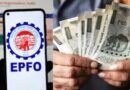 EPFO : ખાતામાં ક્યારે આવશે EPFOનું 8.25% વ્યાજ? પાસબુકમાં આ રીતે ચેક કરો બેલેન્સ