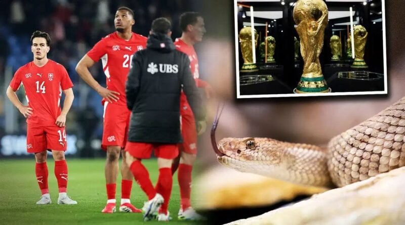 FIFA World Cup 2026: ફૂટબોલ વર્લ્ડ કપમાં ઝેરી સાપથી ખતરો, આ ટીમને મળી ખાસ ચેતવણી