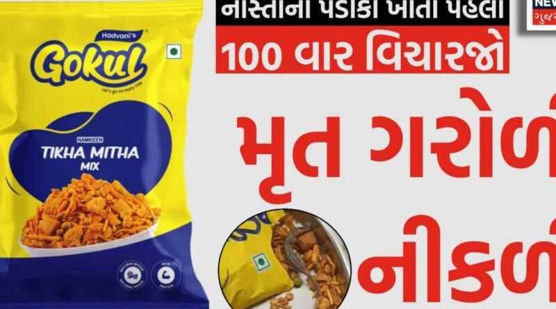 પેટમાં ઉંદર દોડતા હોય તો પણ પડીકા ન ખાતા! હવે ગોકુલ ચવાણાના પેકેટમાંથી નીકળી મરેલી ગરોળી