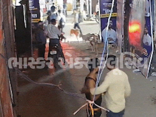 ખાન સરના કોચિંગ પર હુમલાનો VIDEO સામે આવ્યો:લોકોએ ગાર્ડને ઢીબી નાખ્યો, ઈંટ-પથ્થર ફેંક્યા; જ્ઞાનબિંદુ કોચિંગના ડાયરેક્ટર સહિત 3ની ધરપકડ