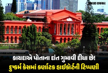 ‘હાથ-પગ કાપો તો જ લોકો કાયદો માનશે…’ દુષ્કર્મના આરોપીની જામીન અરજી ફગાવતા કર્ણાટક હાઈકોર્ટની ટિપ્પણી