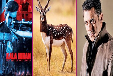 કાલા હિરન ફિલ્મના સર્જકોને સલમાને નોટિસ ફટકારી દીધી