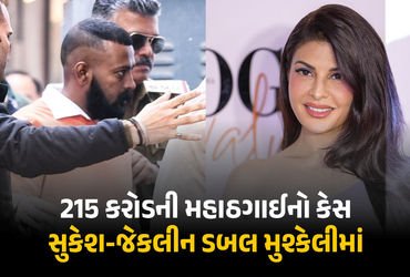 215 કરોડનો મહાઠગાઈ કેસમાં સુકેશ-જેકલીનની મુશ્કેલી વધી, આરોપો નક્કી કરાયા, 16 જુલાઈએ સુનાવણી