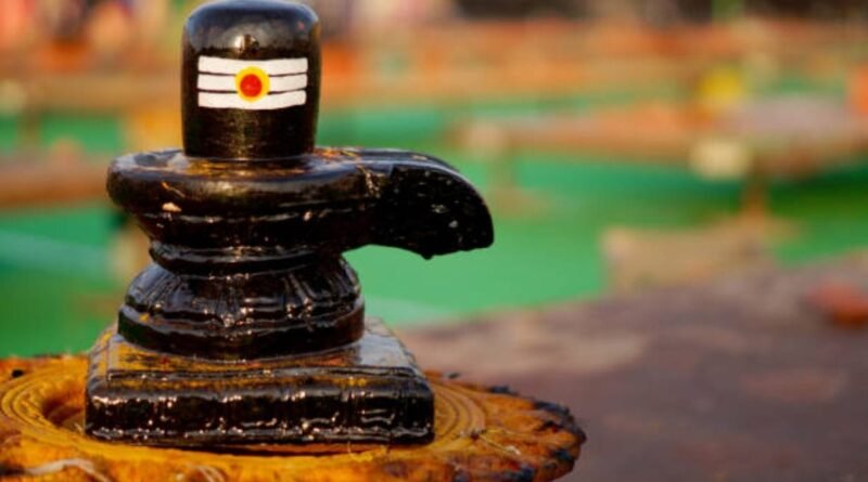 શ્રાવણમાં શિવલિંગ પર ચઢાવો આ 5 પવિત્ર વસ્તુઓ! મહાદેવ થશે પ્રસન્ન, ઘરમાં આવશે સુખ, શાંતિ અને સમૃદ્ધિ