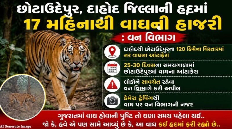 છોટાઉદેપુર અને દાહોદના 120 કિમી વિસ્તારમાં 17 મહિનાથી નર વાઘ સ્થાયી થયાની પુષ્ટિ
