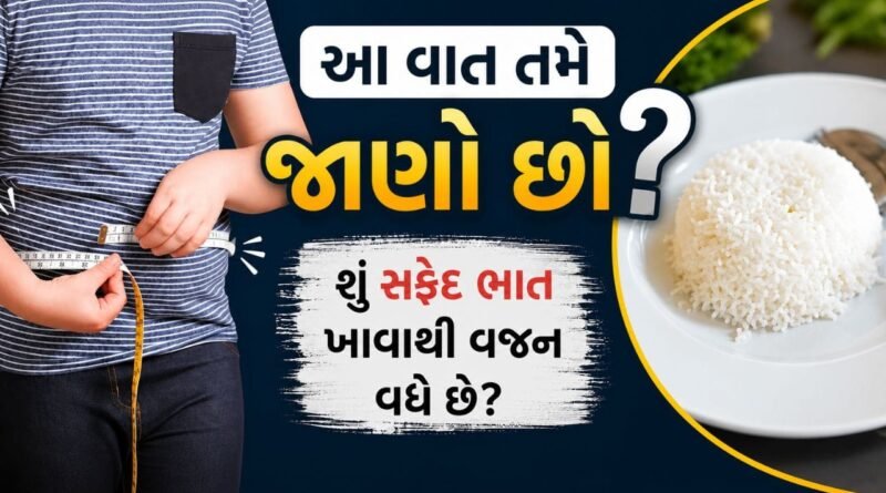 શું સફેદ ભાત ખાવાથી ખરેખર વજન વધે છે? નિષ્ણાત પાસેથી જાણો સાચી હકીકત