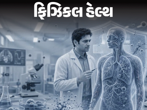 દાદર-ખંજવાળની દવાઓ કામ કરતી બંધ થઈ ગઈ!:WHOની વોર્નિંગ, ફંગલ ઇન્ફેક્શન બની રહ્યું છે ‘સાયલેન્ટ કિલર’; બચવા માટેની 12 સાવચેતીઓ દાદર-ખંજવાળની દવાઓ કામ કરતી બંધ થઈ ગઈ!:WHOની વોર્નિંગ, ફંગલ ઇન્ફેક્શન બની રહ્યું છે ‘સાયલેન્ટ કિલર’; બચવા માટેની 12 સાવચેતીઓ