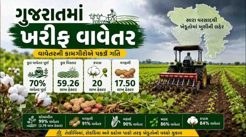 ગુજરાતમાં 59.26 લાખ હેક્ટરમાં ખરીફ વાવેતર પૂર્ણ, કપાસ અને મગફળી ખેડૂતોની પ્રથમ પસંદ