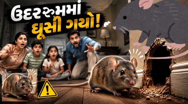 Trending Video  : રુમમાં ઘૂસી ગયો ઉંદર, પછી જે થયું તેને જોઈ લોકોએ કહ્યું- ખોટા ઘરમાં આવ્યો, જુઓ Video