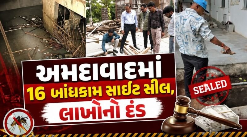 બિલ્ડરો સાવધાન! મચ્છરોનું બ્રિડિંગ મળ્યું તો AMC કરશે સીધી કાર્યવાહી, 16 બિલ્ડિંગ સાઇટ સીલ, જુઓ Video
