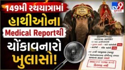 Breaking News: અમદાવાદની 149મી રથયાત્રામાં તંત્રની ઘોર બેદરકારી, અંધ અને કાબૂ બહાર જતાં હાથીઓને કરાયા સામેલ