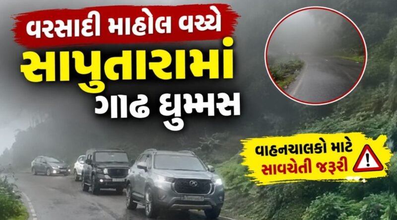 Breaking News : ફરવા સાપુતારા જઈ રહ્યા છો તો ગાડીની સ્પીડ ધીમી રાખજો, ગાઢ ધુમ્મસથી વાહનચાલકોને મુશ્કેલી પડશે