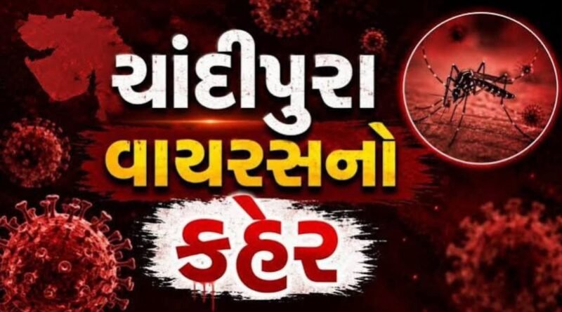 Breaking News : મહિસાગરના આકલિયા ગામની 7 વર્ષીય બાળકીનું ચાંદીપુરાથી મોત