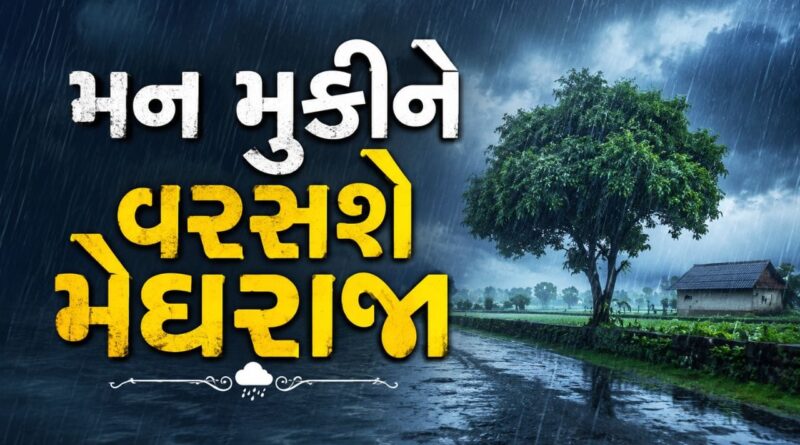 Gujarat Weather Today:  ગુજરાતમાં  23 ઓગસ્ટ સુધી વરસાદની આગાહી, દક્ષિણ ગુજરાતમાં આજે બે થી ત્રણ જિલ્લામાં યલો એલર્ટ