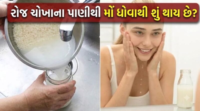 ચોખાના પાણીથી મોં ધોવાથી શું થાય? જાણો ત્વચા પર તેની અસર અને અદ્ભુત ફાયદા ચોખાના પાણીથી મોં ધોવાથી શું થાય? જાણો ત્વચા પર તેની અસર અને અદ્ભુત ફાયદા