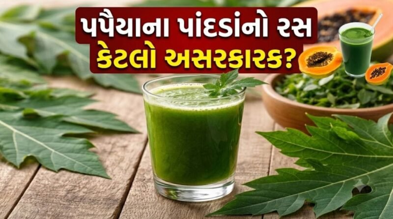 કબજિયાતથી લઈને ડેન્ગ્યુ સુધી… પપૈયાના પાંદડાંનો રસ છે ‘સંજીવની જડીબુટ્ટી’, દર્દીઓએ આ પીણું દિવસમાં કેટલું પીવું જોઈએ?