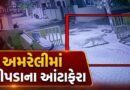 Breaking News : અમરેલી શહેરમાં દીપડાના આંટાફેરાથી દહેશત, CCTVમાં કેદ થયા દીપડાના દ્રશ્યો, જુઓ Video