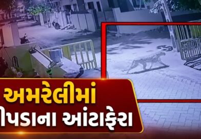 Breaking News : અમરેલી શહેરમાં દીપડાના આંટાફેરાથી દહેશત, CCTVમાં કેદ થયા દીપડાના દ્રશ્યો, જુઓ Video