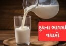 Breaking News: મુંબઈમાં દૂધ મોંઘું, 1 સપ્ટેમ્બરથી પ્રતિ લિટર રૂ. 9નો વધારો, ભાવ રૂ.102 થશે