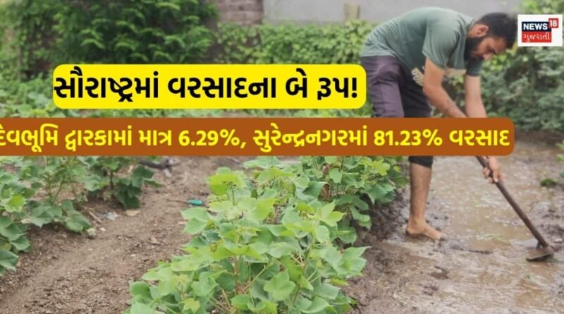 સૌરાષ્ટ્રમાં વરસાદની વિચિત્ર સ્થિતિ: દેવભૂમિ દ્વારકામાં માત્ર 6.29%, સુરેન્દ્રનગરમાં 81.23% વરસાદ