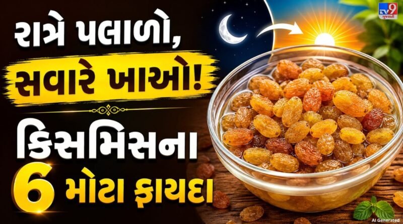 Soaked Raisins Benefits: સવારે ખાલી પેટ પલાળેલી કિસમિસ ખાવાના 6 અદ્ભુત ફાયદા, જાણો શરીરને કેવી રીતે મળે છે લાભ Soaked Raisins Benefits: સવારે ખાલી પેટ પલાળેલી કિસમિસ ખાવાના 6 અદ્ભુત ફાયદા, જાણો શરીરને કેવી રીતે મળે છે લાભ