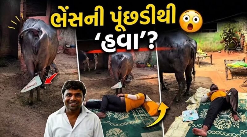 Trending Video: ના વીજળીનું બિલ, ના મેઇન્ટેનન્સ ! ગરમીથી બચવા ભાઈએ લગાવ્યો નેક્સ્ટ લેવલનો જુગાડ, એન્જિનિયરો પણ દંગ રહી જશે
