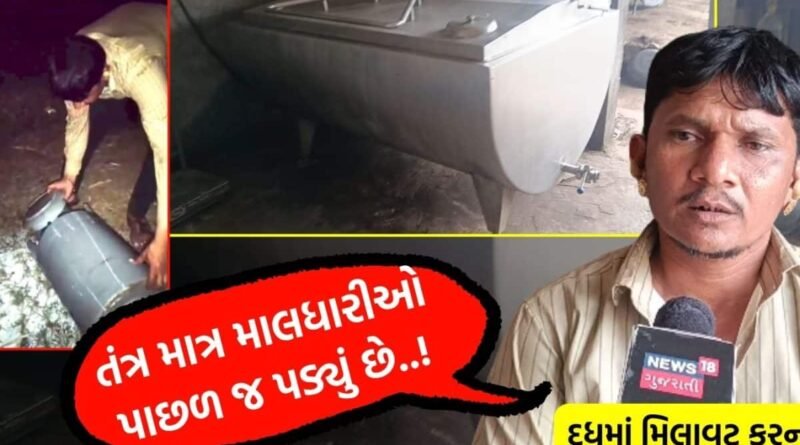 હું દરરોજ 800 લિટર ‘બનાવટી દૂધ’ રાજકોટ મોકલતો! ઉપલેટાના ભેળસેળીયા માલધારીની ઓન કેમેરા બેબાક કબૂલાત