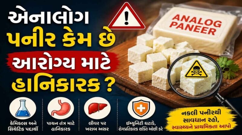એનાલોગ પનીરમાં એવુ તો શું છે કે સ્વાસ્થ્ય માટે છે હાનિકારક ? પનીર અસલી છે કે નકલી તે કેવી રીતે જાણશો એનાલોગ પનીરમાં એવુ તો શું છે કે સ્વાસ્થ્ય માટે છે હાનિકારક ?