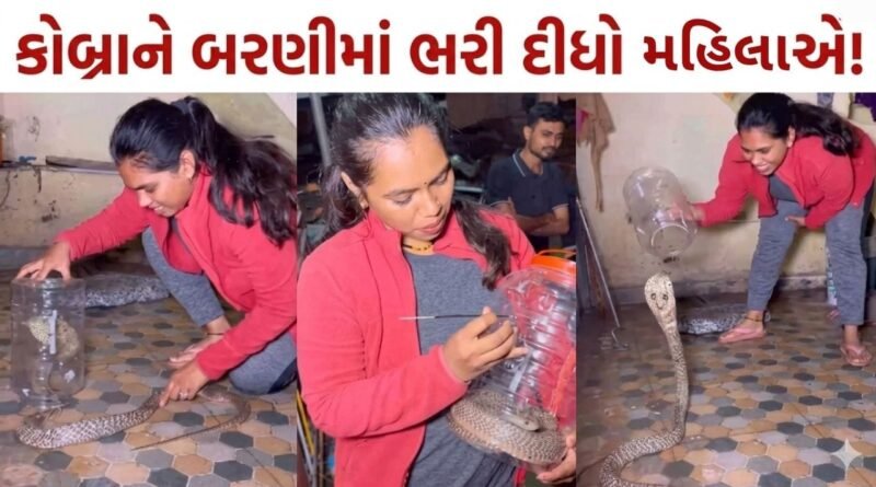 Trending Video : વાહ દીદી વાહ! ઘરમાં ઘુસ્યો કોબ્રા તો યુવતીએ બરણીમાં ભરી લીધો, વીડિયો જોઈ ઉડ્યા હોંશ
