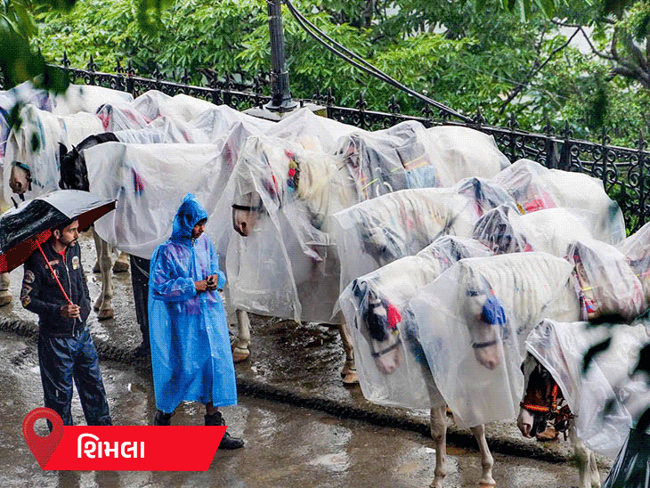 પ્રયાગરાજમાં સતત ત્રીજા દિવસે વરસાદ, ઘરનો સામાન ડૂબી ગયો:બિહારમાં શાળા ગંડકમાં તણાઈ; હિમાચલ-ઉત્તરાખંડમાં 6નાં મોત, બ્રિજ નદીમાં સમાઈ ગયો પ્રયાગરાજમાં સતત ત્રીજા દિવસે વરસાદ, ઘરનો સામાન ડૂબી ગયો:બિહારમાં શાળા ગંડકમાં તણાઈ; હિમાચલ-ઉત્તરાખંડમાં 6નાં મોત, બ્રિજ નદીમાં સમાઈ ગયો