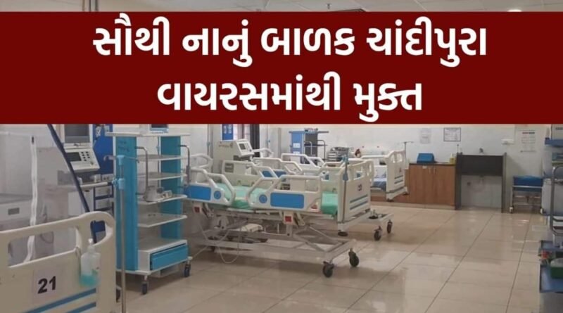 ચાંદીપુરા વાયરસને લઈ રાજકોટથી મોટા સમાચાર, સૌથી નાનું બાળક ચાંદીપુરા વાયરસમાંથી મુક્ત