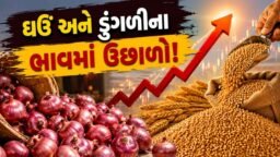 રસોડાનું બજેટ બગડશે.. ઘઉં અને ડુંગળીના ભાવ ઉછળ્યા, જાણો કેટલો વધ્યો ભાવ?