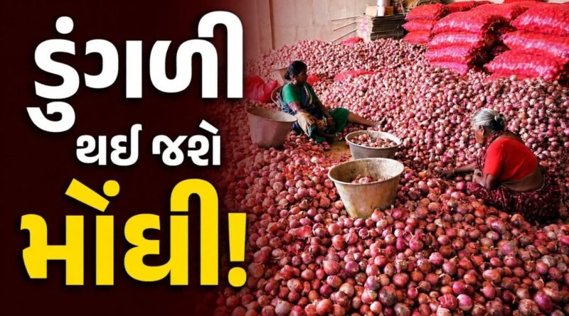 ફરી રડાવશે ડુંગળી ! દેશમાં વધવાના છે ભાવ, સામાન્ય લોકોના ખિસ્સા પર પડશે બોજ