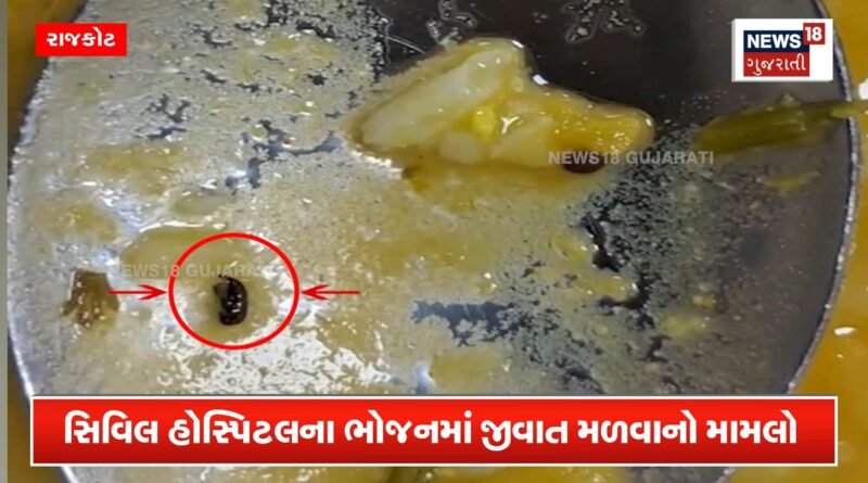 જીવડું નહીં જીરું હતું ! ડાયટિશિયનનો ચોંકાવનારો દાવો