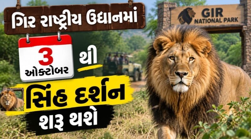 Breaking News : બનાવી લેજો ફરવાનો પ્લાન, સાસણ ગીરમાં આ વખતે 13 દિવસ વહેલા સિંહ દર્શન થશે, જુઓ Video Breaking News : બનાવી લેજો ફરવાનો પ્લાન, સાસણ ગીરમાં આ વખતે 13 દિવસ વહેલા સિંહ દર્શન થશે, જુઓ Video