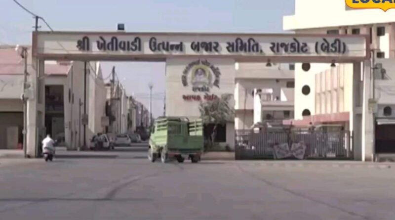 રાજકોટ માર્કેટયાર્ડમાં કયા પાકનો કેટલો ભાવ બોલાયો? જાણો આજના લેટેસ્ટ ભાવ, મગફળી અને ઘઉંની સૌથી વધુ આવક