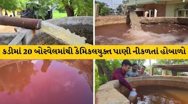 Mehsana Breaking: કડીના નંદાસણ પાસે પ્રદૂષિત ભૂગર્ભજળથી ચામડીના રોગો અને પાક બરબાદ થતાં હોબાળો, GPCBએ ફટકારી નોટિસ