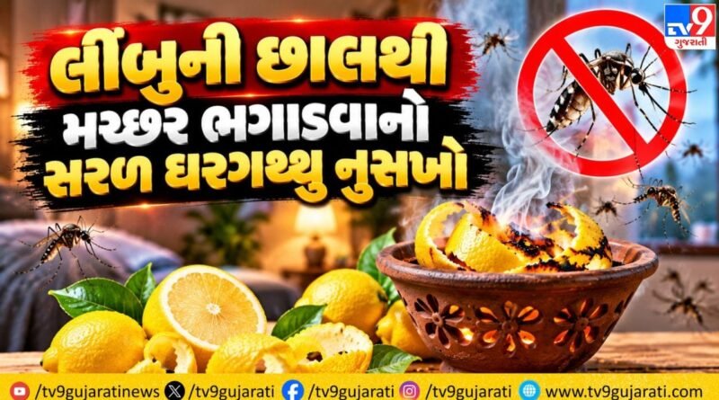 મચ્છરોના ત્રાસથી છો પરેશાન ? લીંબુની છાલ, કપૂર અને લીમડાના તેલનો આ નેચરલ દીવો મિનિટોમાં મચ્છરોને કરશે દૂર મચ્છરોના ત્રાસથી છો પરેશાન ? લીંબુની છાલ, કપૂર અને લીમડાના તેલનો આ નેચરલ દીવો મિનિટોમાં મચ્છરોને કરશે દૂર