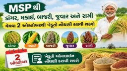 Breaking News : ખેડૂતો માટે મહત્વના સમાચાર, MSP પર ડાંગર, મકાઈ, બાજરી, જુવાર સહિતના પાકની ખરીદી માટે, 2 ઓક્ટોબરથી નોંધણી શરૂ Breaking News : ખેડૂતો માટે મહત્વના સમાચાર, MSP પર ડાંગર, મકાઈ, બાજરી, જુવાર સહિતના પાકની ખરીદી માટે, 2 ઓક્ટોબરથી નોંધણી શરૂ