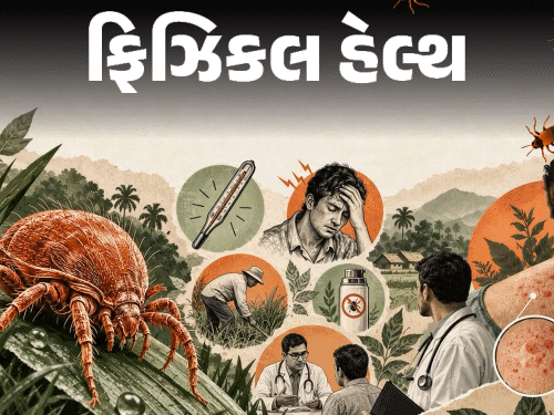 દેશમાં સ્ક્રબ ટાઇફસના કેસમાં વધારો:નાનકડી જીવાતથી ફેલાતો ચેપ ગંભીર સ્વરૂપ ધારણ કરી શકે છે; જાણો તેનાં લક્ષણો, બચાવ અને સાવચેતીઓ દેશમાં સ્ક્રબ ટાઇફસના કેસમાં વધારો:નાનકડી જીવાતથી ફેલાતો ચેપ ગંભીર સ્વરૂપ ધારણ કરી શકે છે; જાણો તેનાં લક્ષણો, બચાવ અને સાવચેતીઓ
