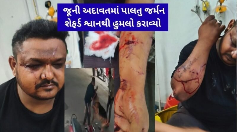 Breaking News : રાજકોટમાં જૂની અદાવતમાં પાલતુ જર્મન શેફર્ડ શ્વાનથી હુમલો કરાવ્યો, યુવાન ગંભીર ઇજાગ્રસ્ત Breaking News : રાજકોટમાં જૂની અદાવતમાં પાલતુ જર્મન શેફર્ડ શ્વાનથી હુમલો કરાવ્યો, યુવાન ગંભીર ઇજાગ્રસ્ત